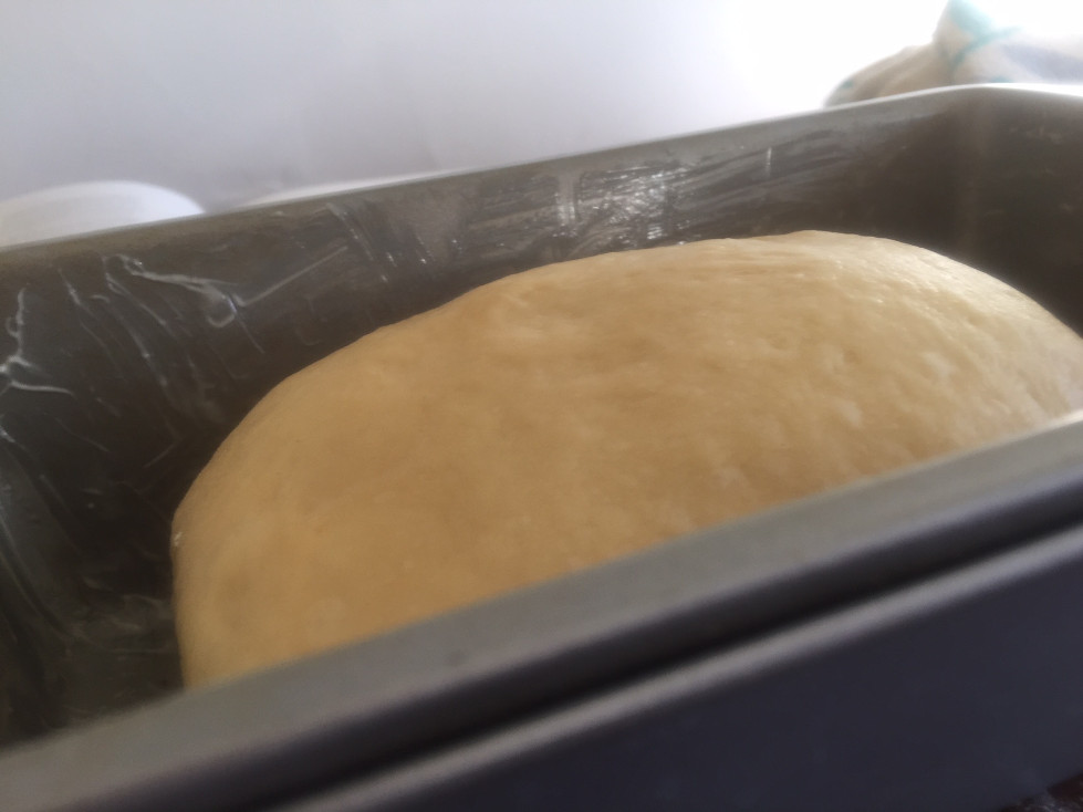 Brioche bread recipe ready to proof those someday goals