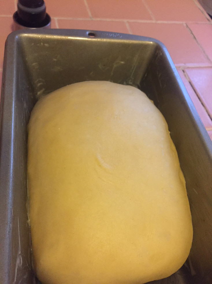 Brioche bread recipe proof lighter airy rising those someday goals