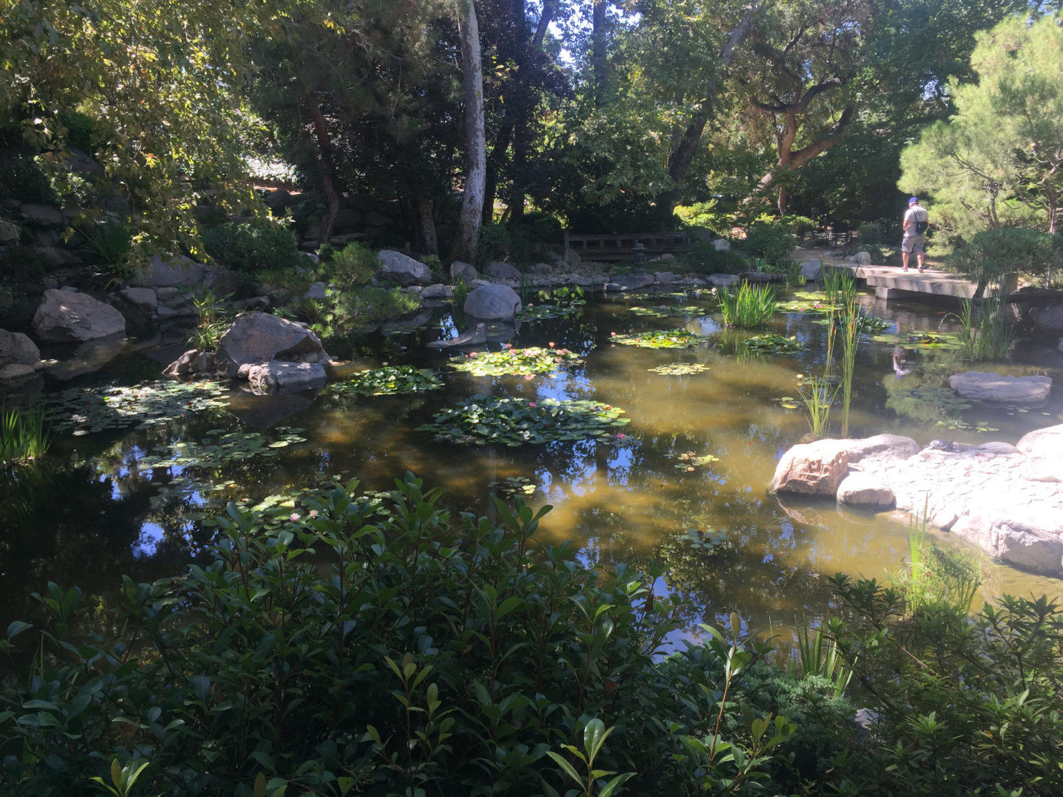 Touring a Japanese Garden in Pasadena - Those Someday Goals