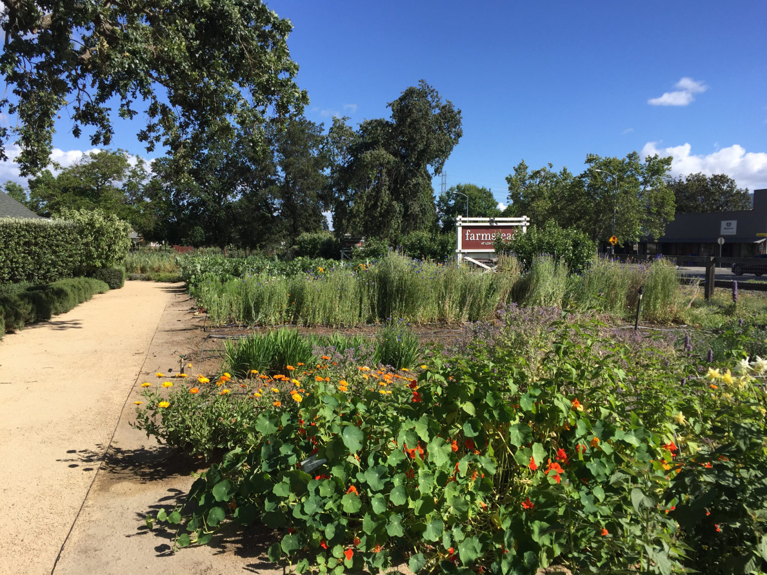 Sampling Napa's Farmstead Restaurant - Those Someday Goals