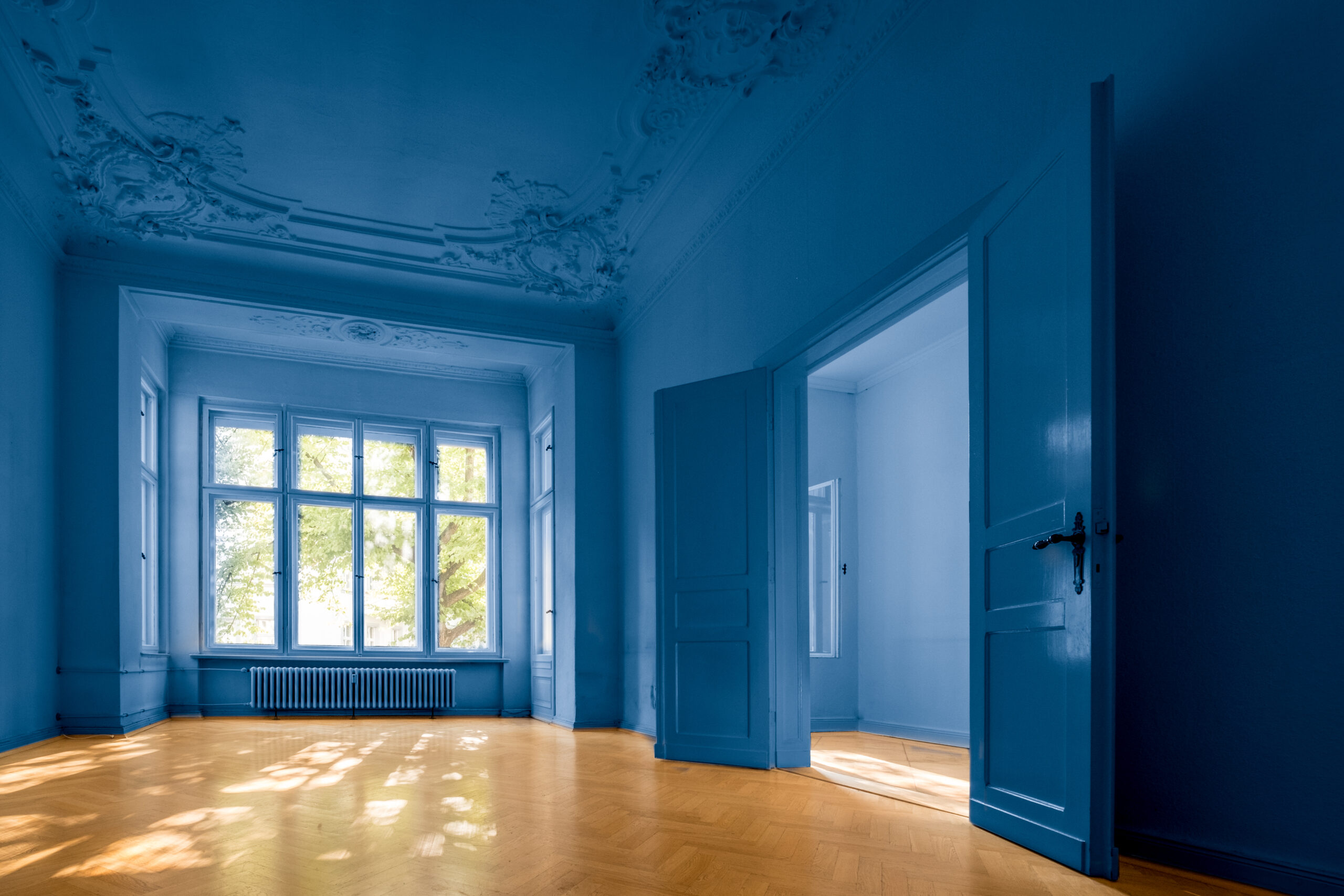 Deep Blue color drenched apartment with detailed ceilings and parquet floors paint your ceilings