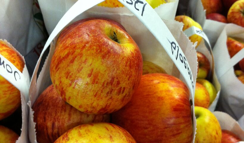 Bag of Apples Golden and Red apples in white bags with handles fall decor apple crisp core fall aesthetic home design interior design