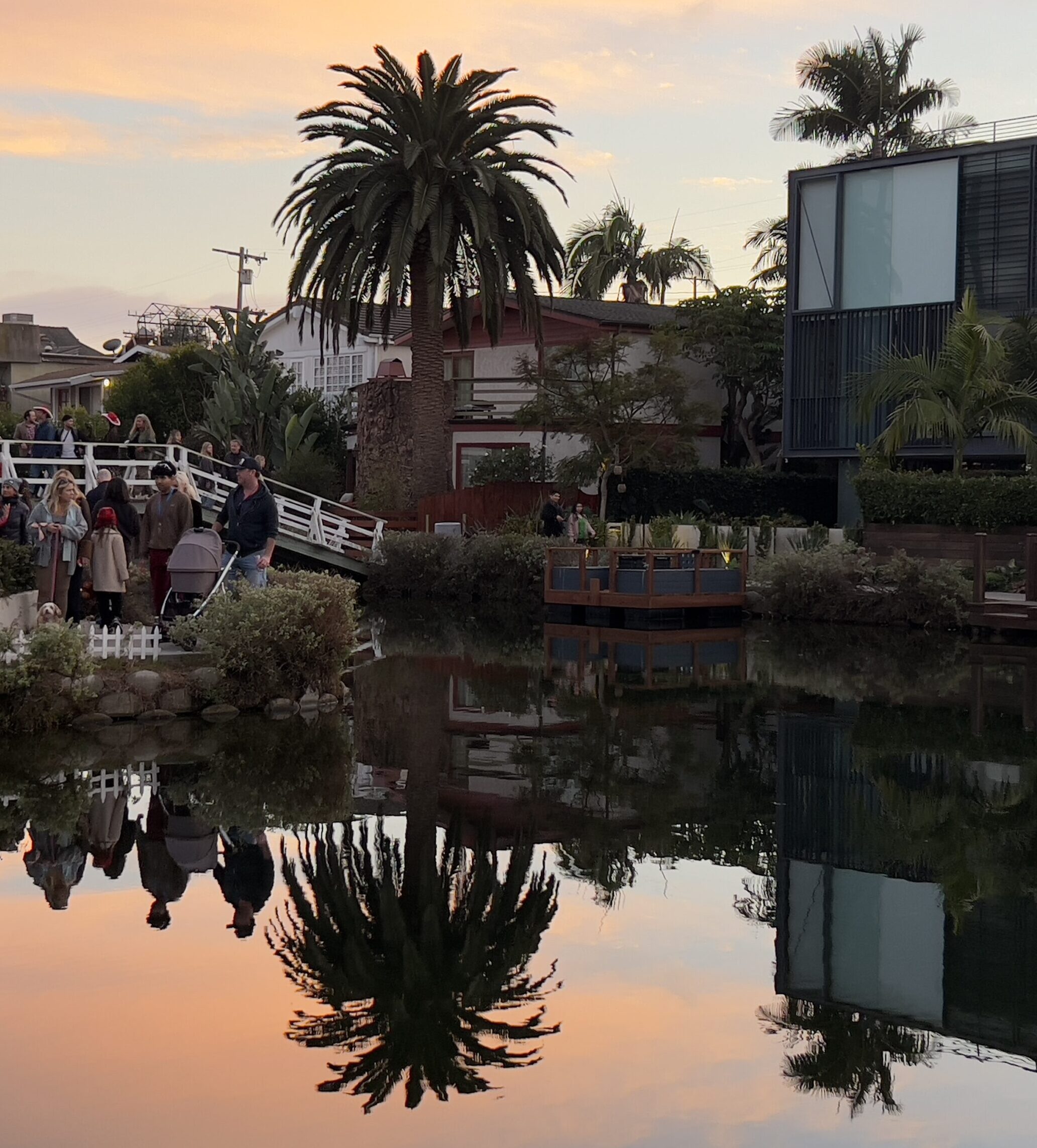 New Year's Eve 2024 2025 Upside Down Mirror image Palm Trees Venice Canals Sunset Southern California December Those Someday Goals