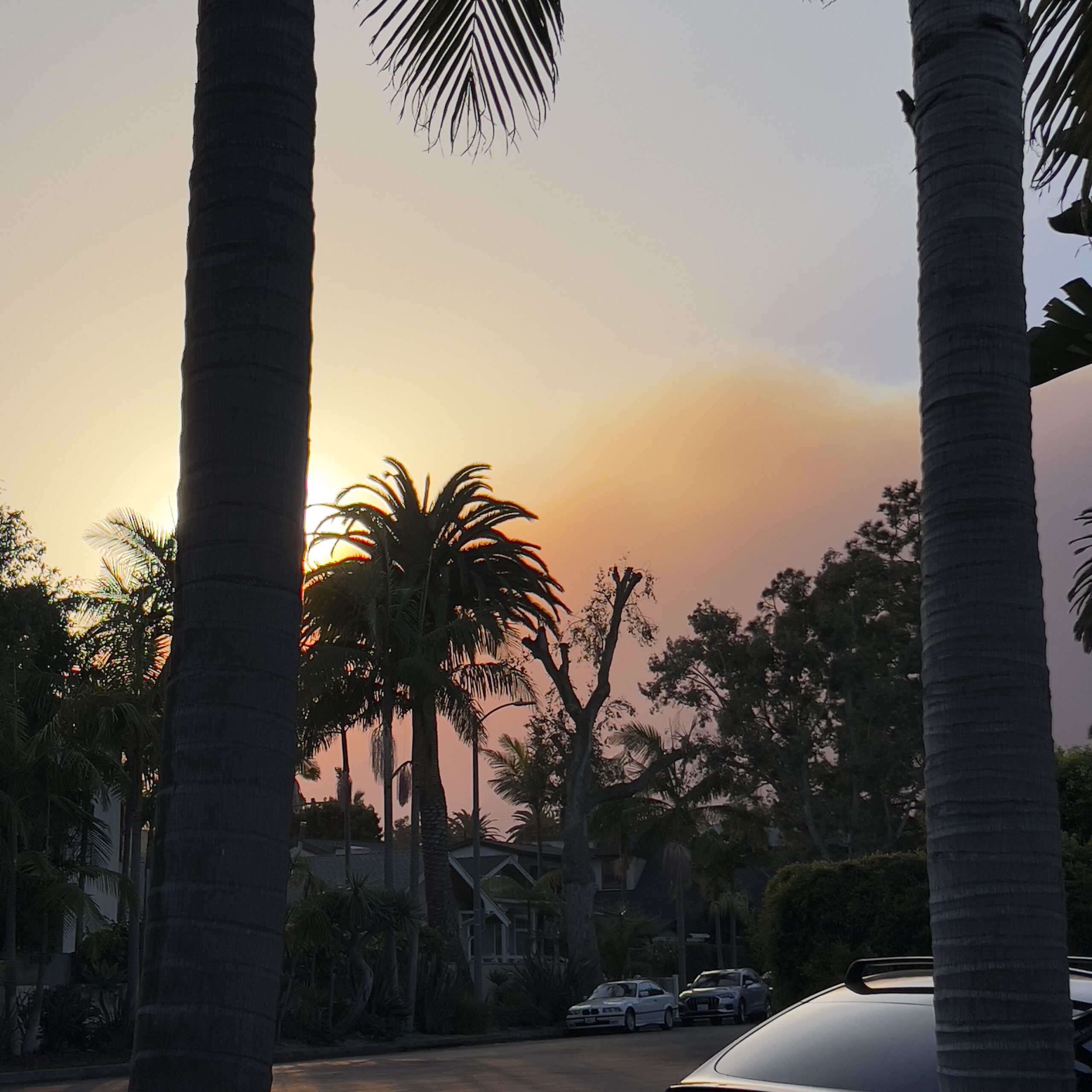 Palisades Fire Smoke Venice Beach California Los Angeles Fires